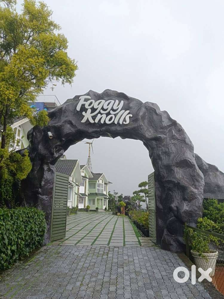 Head Chef - All Rounder