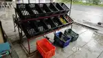 Fruits and vegetables racks