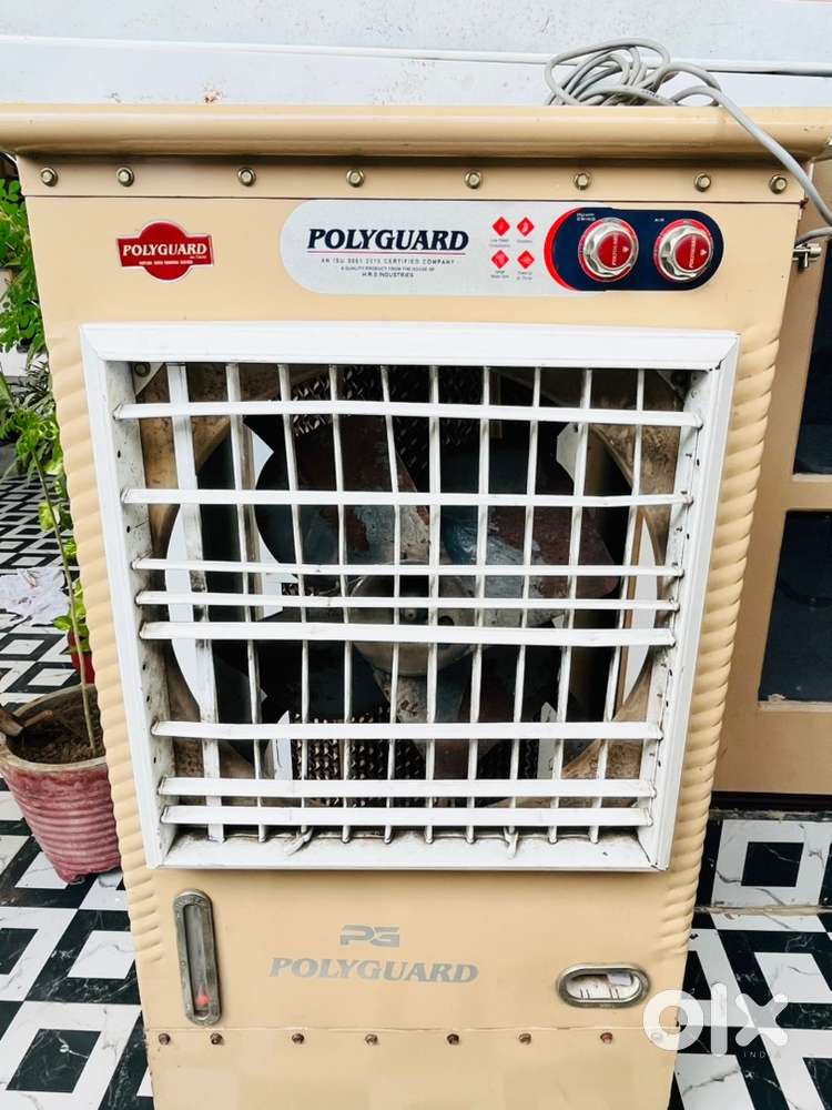 heavy body air cooler with dual pump