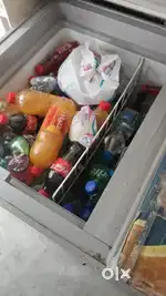 Western Deep Freezer
