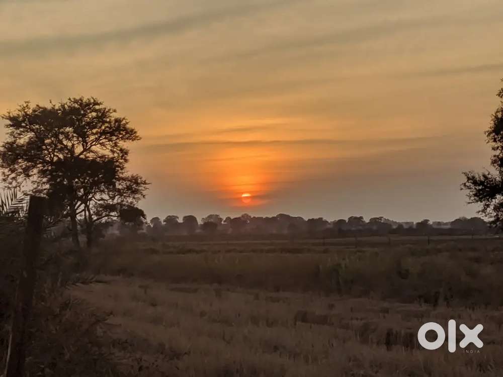 1000 sqft. diverted plot pragati nagar