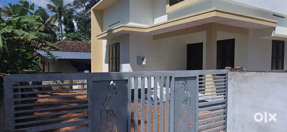 5.25 cent 3 Bhk New House Perumpuzha (1 Km From Perumpuzha Junction )