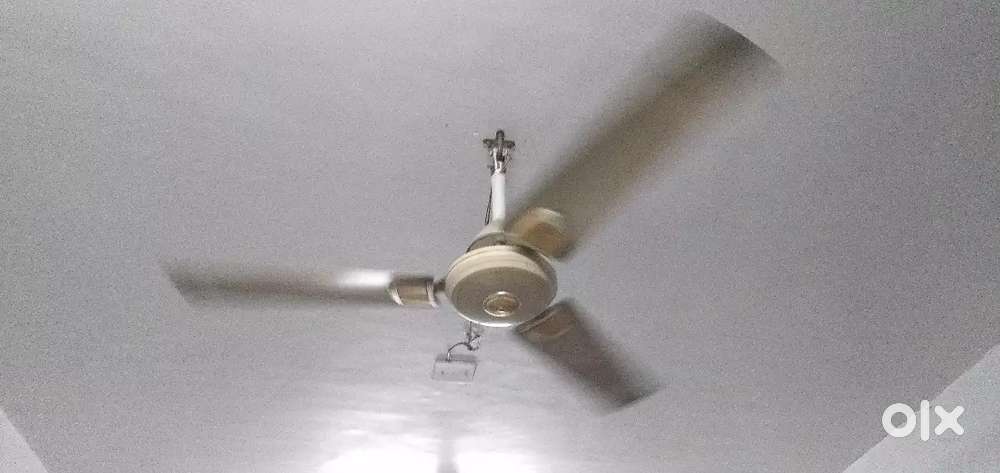 CEILING FANS