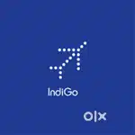 Urgent requirements for Indigo airline job in ground staff