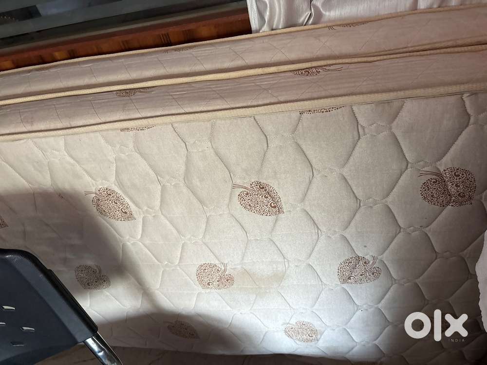 Mattress ,ceiling fan, chandelier and shoe rack
