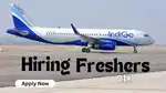 Indigo Airlines near by jobs available apply fast