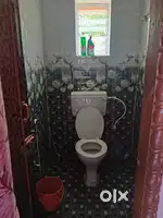 Boys or girls or office purpose