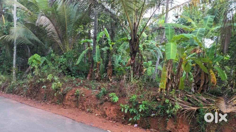 5/15 cent plot 70 mtr near service road thondayad bypass junction