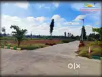 Buy And  Mark Our Land