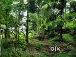 Plot for sale