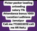 Picker packer loading unloading Ludhiana Jamalpur