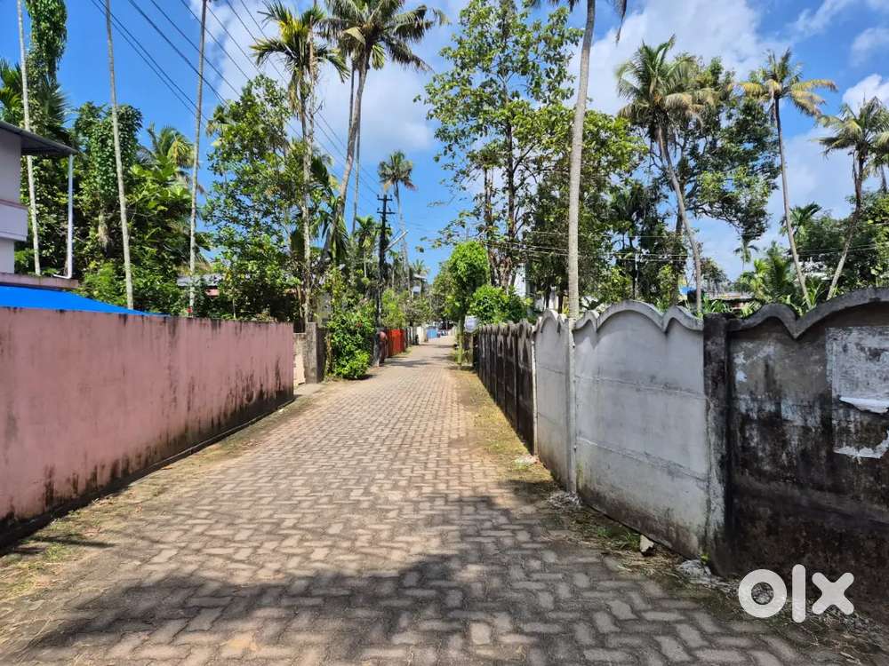 N Paravur Perumpadanna