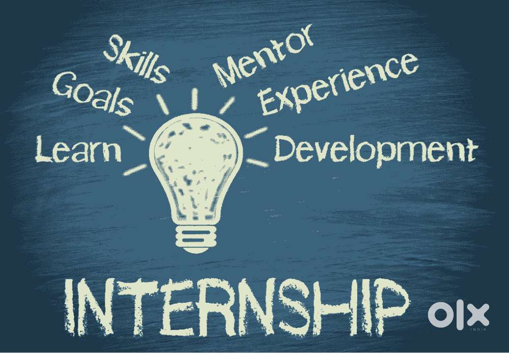 IT Company invites Applications from Freshers