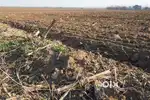 Urgent land for sale