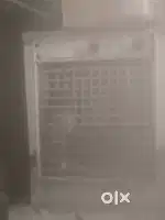 Air cooler