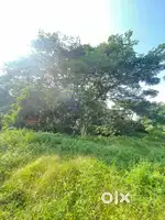 6.5cnt land for Sale