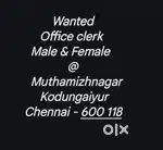 Office clerk ( Female & Male )