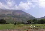 Farmland Available Palakkad Highway Near