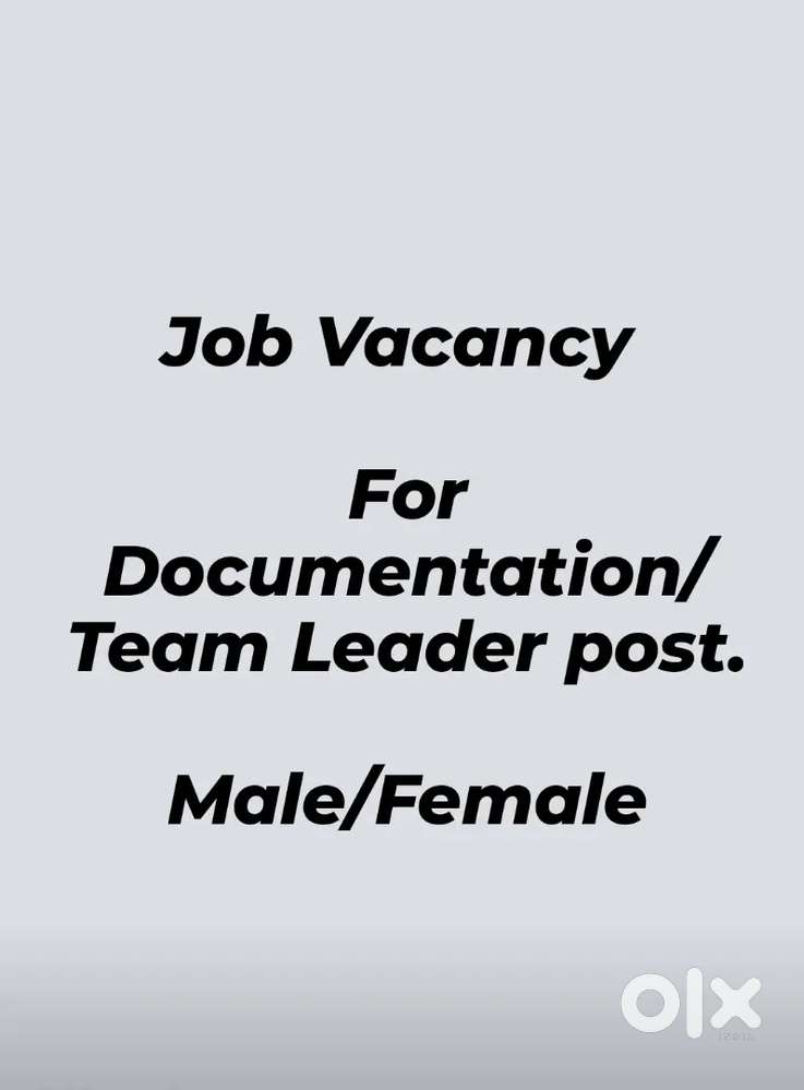 Job vacancy for Documentation/Team Leader