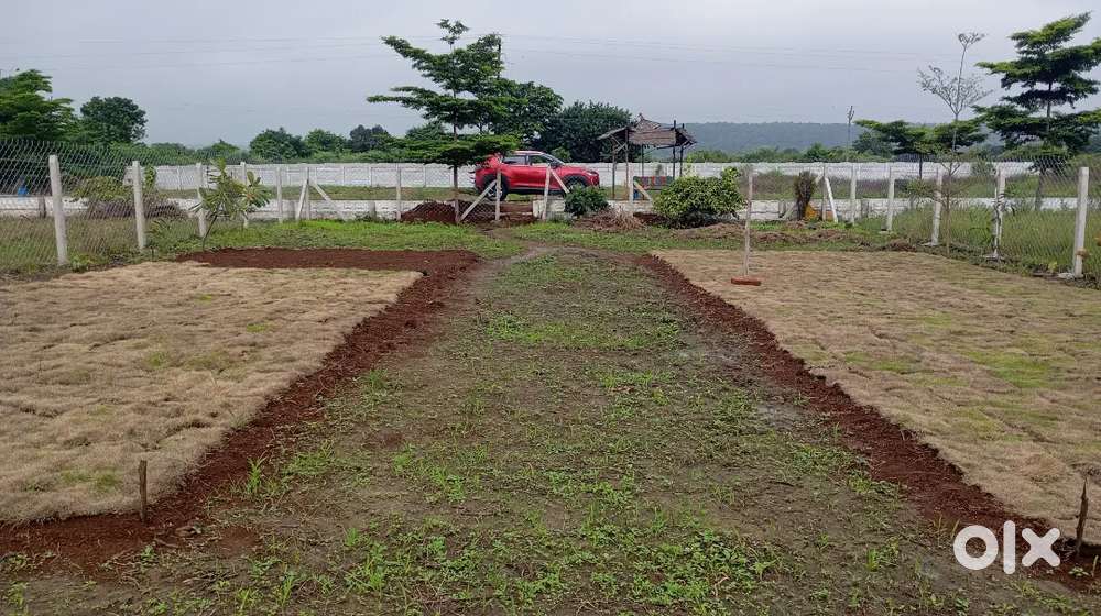 Farmhouse plot