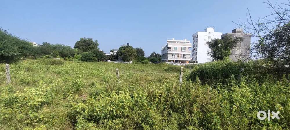 Plot for Sale at Motiwala Colleges