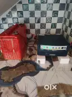 Inverter & battery