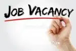 NEW COMPANY OPENING FOR JOB VACANCY AVAILABLE