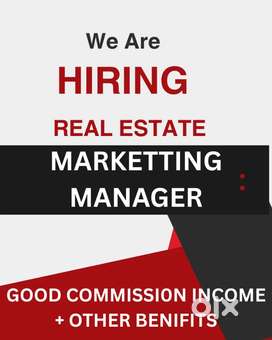 BUSSINESS MANAGER WANTED TO LEADING  REAL ESTATE OFFICE