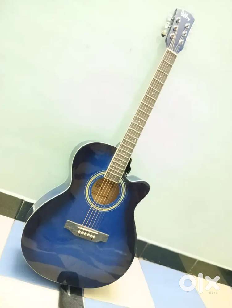 FOR SALE: Blueberry 40C Acoustic Guitar (Blue) + Accessories – ₹3, 499