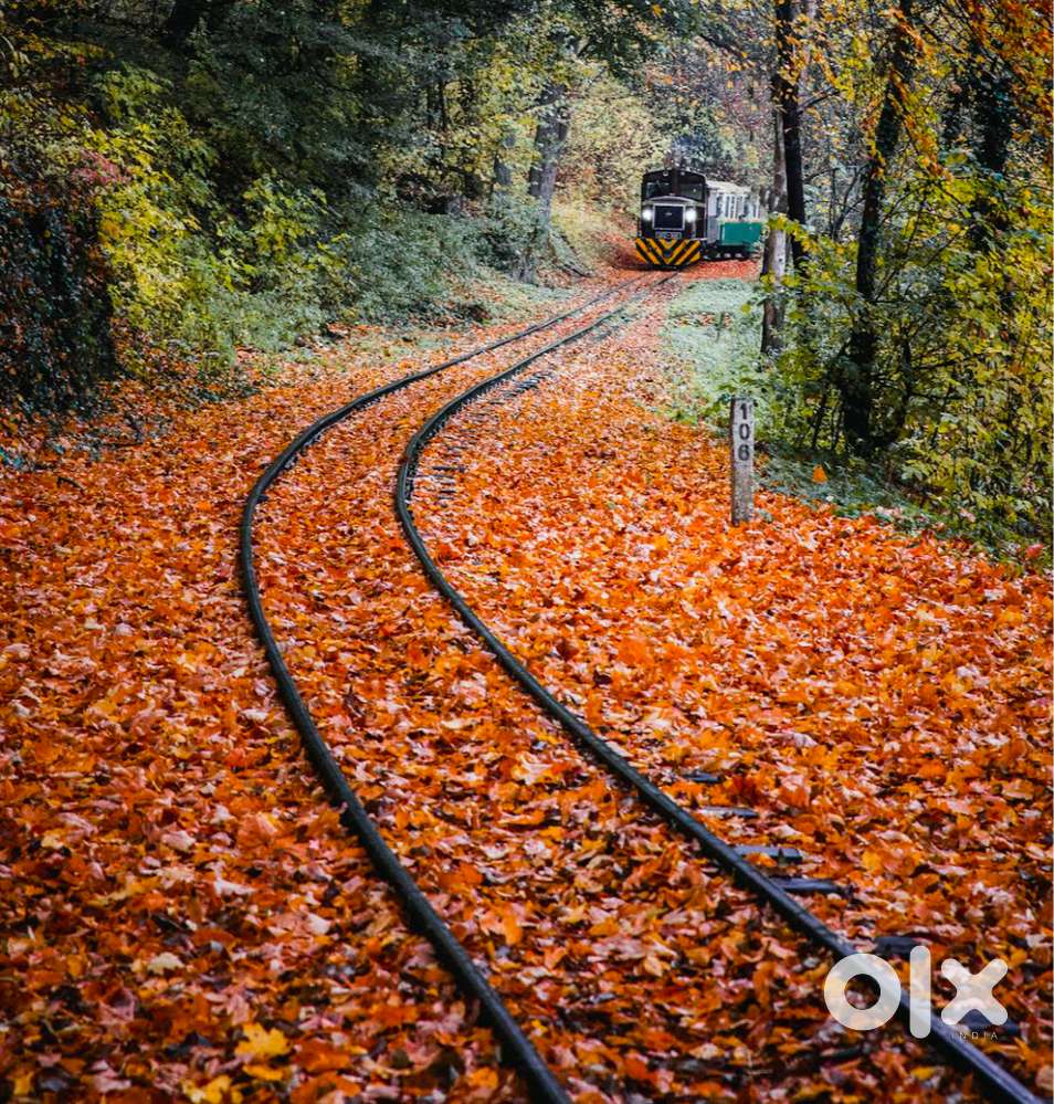 Train Ticket Services