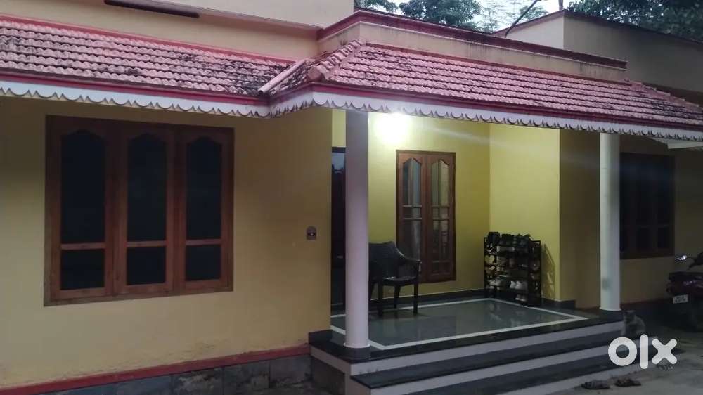 Total area 20cent Fully furnished  ready to move location, ooramvila