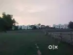 Land  for rent