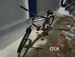 Skaley cycle