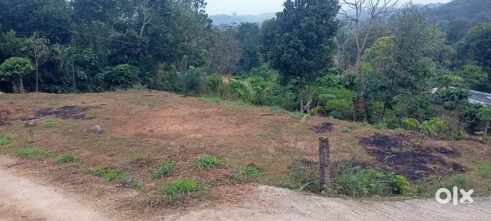 20 cent house plot for sale