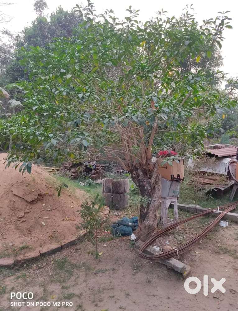 Land available for sale 4.5 decimil at only 4.50000