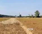 500 gaj plot available 90 frount 50 depth 55 lakh ka