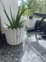 UV protected GTC plastic pots newly purchased
