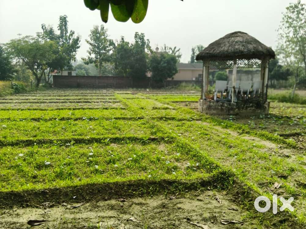 Farmhouse Land for Sale!