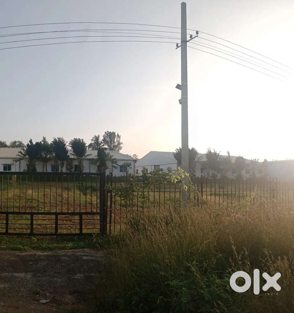 Wearhouse and gowdown