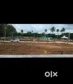 # PLOTS FOR SAE #