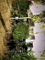 PeacefulGarden view &main road Plot for sale in ajwa road bahar colony