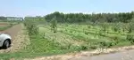 AGRICULTUREL LAND FOR SALE