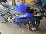 R15 v4 Racing blue 2022