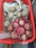 Grocery Item