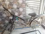 1year old cycle