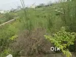 Property is for sale