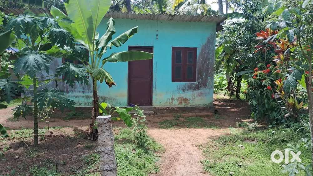 15 Cent  Plot & old House For Sale Kattakkada