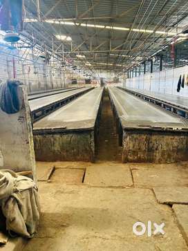 Suezfarm narol