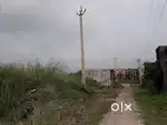 I purchase new plot