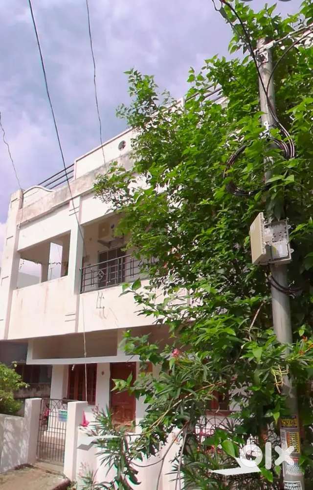 Rent Home For A Family And Bachelors